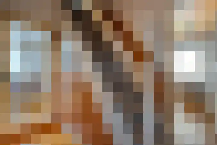 Dreeslaan 6 Havelte thumbnail 21