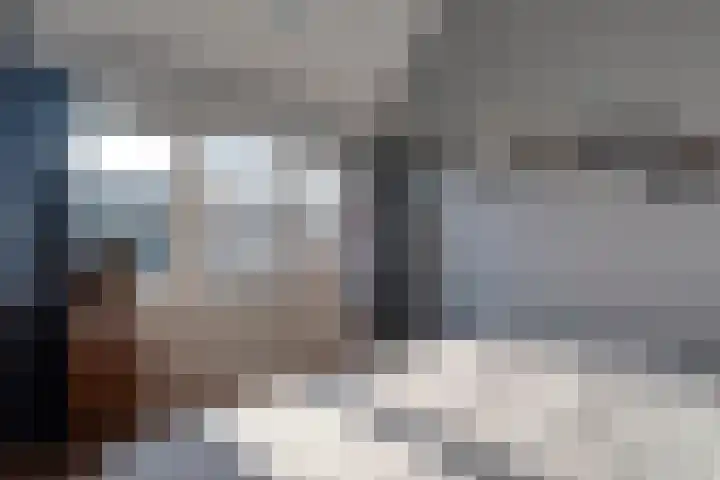 Dreeslaan 6 Havelte thumbnail 24