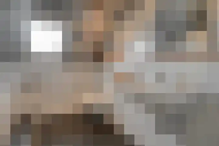 Dreeslaan 6 Havelte thumbnail 25