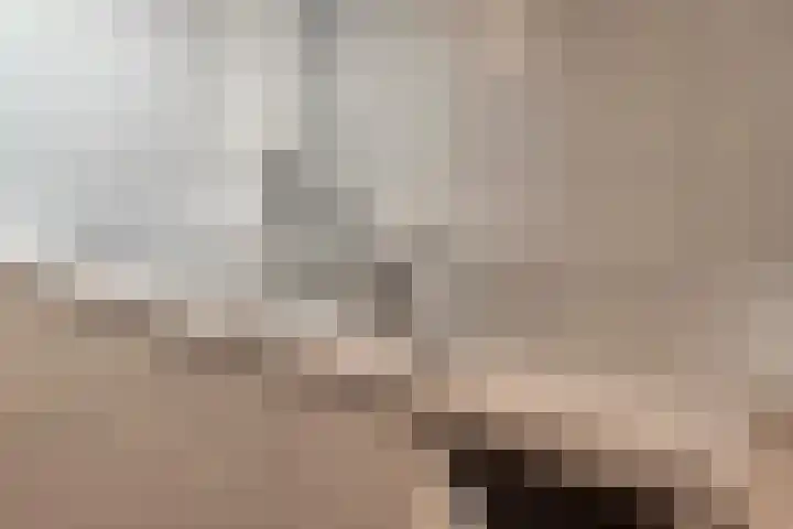 Dreeslaan 6 Havelte thumbnail 28