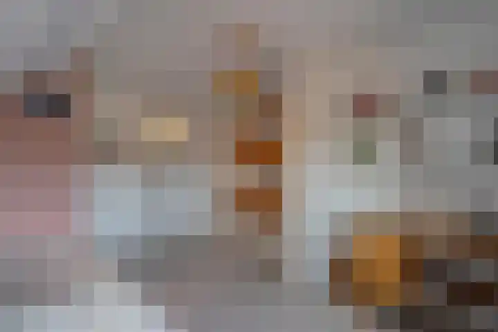 Dreeslaan 6 Havelte thumbnail 30