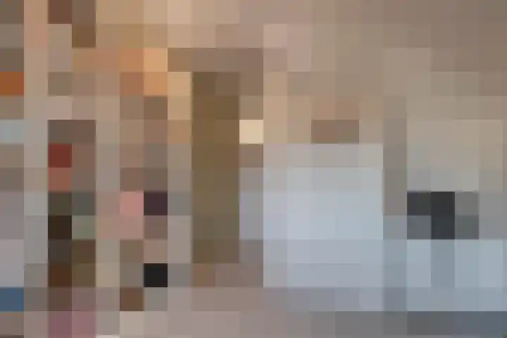 Dreeslaan 6 Havelte thumbnail 32