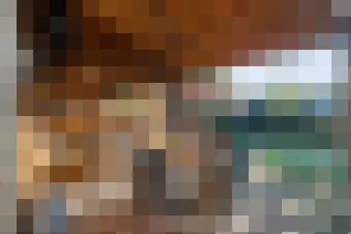 Dreeslaan 6 Havelte thumbnail 36