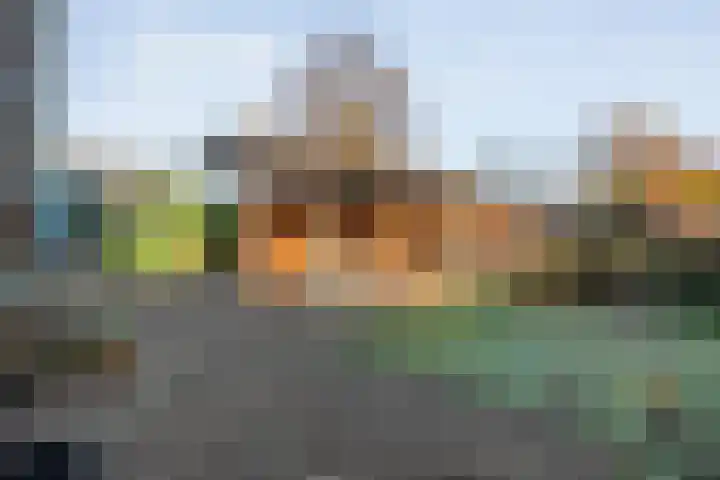 Dreeslaan 6 Havelte thumbnail 37
