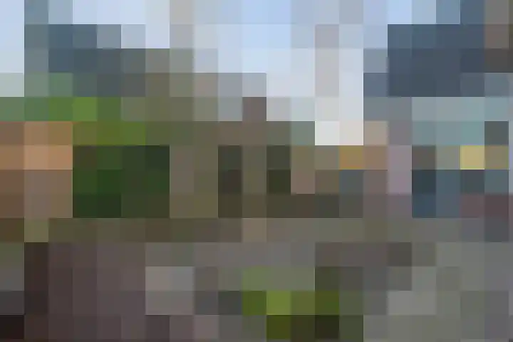 Dreeslaan 6 Havelte thumbnail 38