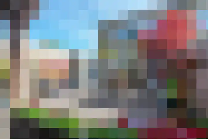 Dreeslaan 6 Havelte thumbnail 4