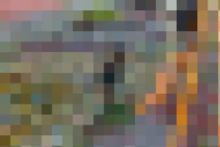 Dreeslaan 6 Havelte thumbnail 40