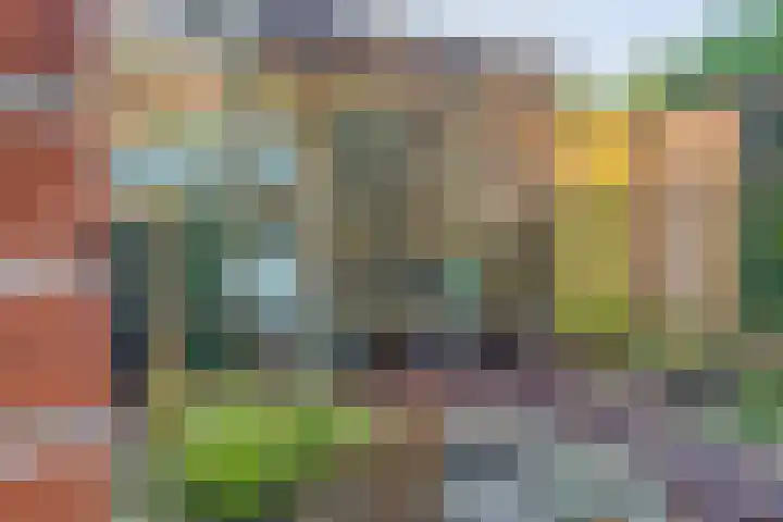 Dreeslaan 6 Havelte thumbnail 41