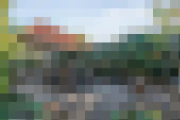 Dreeslaan 6 Havelte thumbnail 44