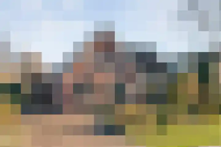 Dreeslaan 6 Havelte thumbnail 49