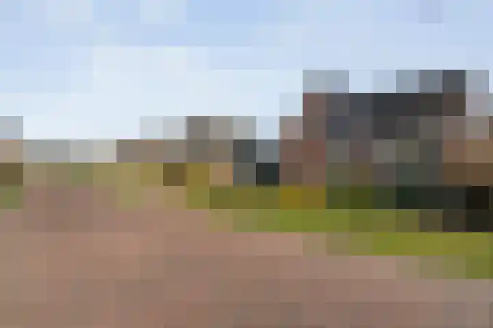 Dreeslaan 6 Havelte thumbnail 52