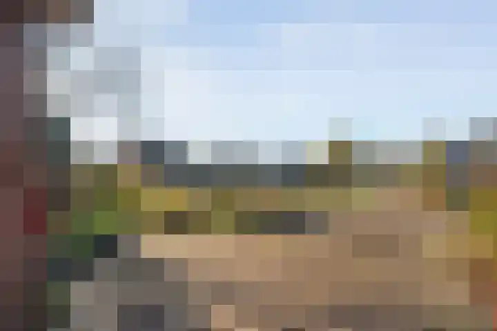 Dreeslaan 6 Havelte thumbnail 53