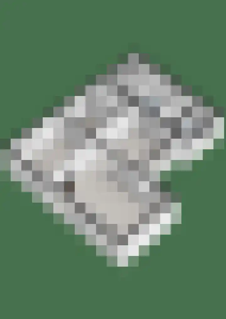 Dreeslaan 6 Havelte thumbnail 59