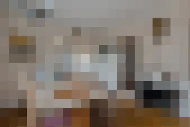 Dreeslaan 6 Havelte thumbnail 9