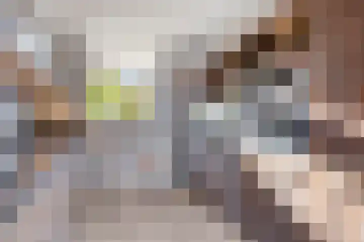 Dreeslaan 7 Naaldwijk thumbnail 10