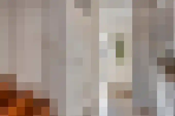 Dreeslaan 7 Naaldwijk thumbnail 11