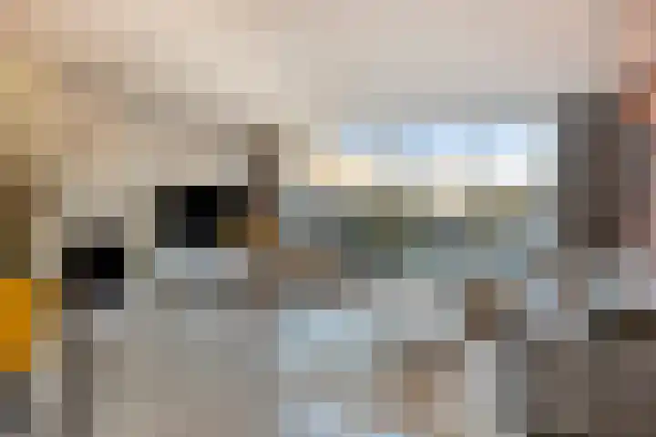 Dreeslaan 7 Naaldwijk thumbnail 13