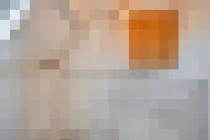 Dreeslaan 7 Naaldwijk thumbnail 26