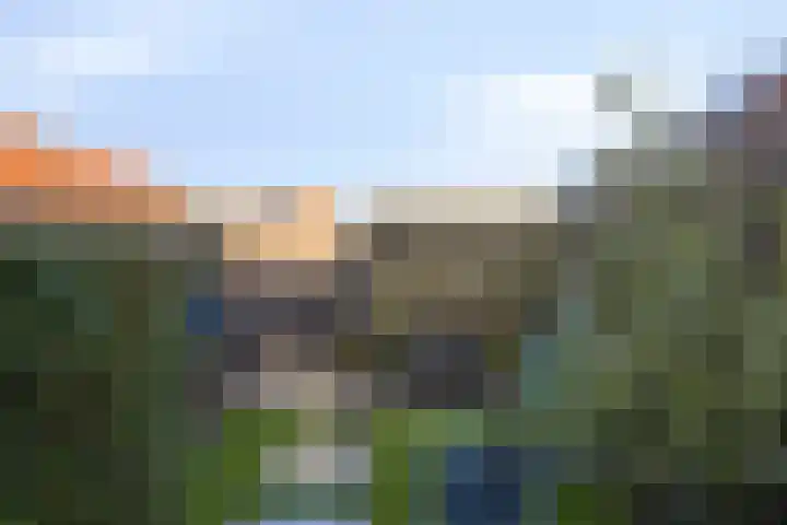 Dreeslaan 7 Naaldwijk thumbnail 28