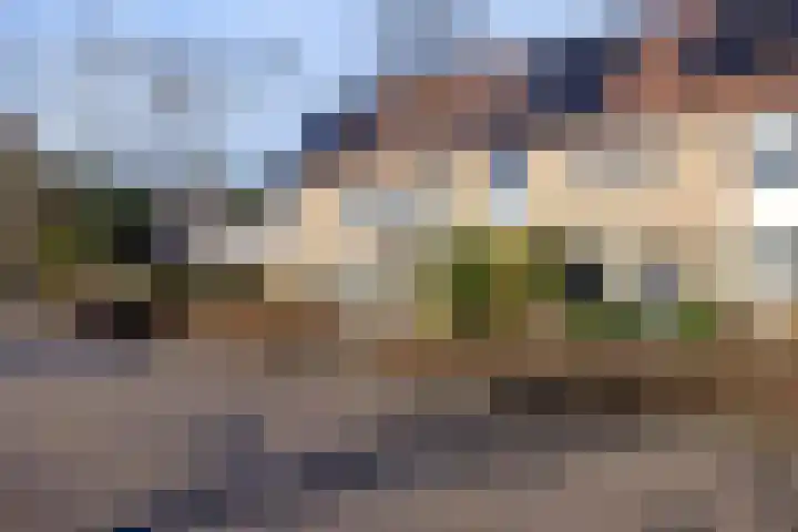 Dreeslaan 7 Naaldwijk thumbnail 30