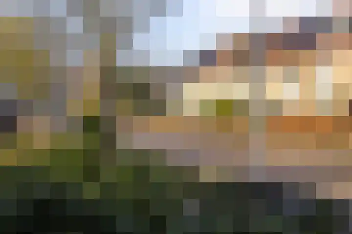 Dreeslaan 7 Naaldwijk thumbnail 31