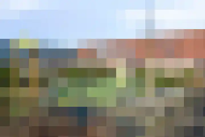 Dreeslaan 7 Naaldwijk thumbnail 32