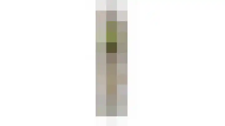 Dreeslaan 7 Naaldwijk thumbnail 34