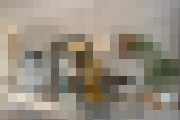 Dreeslaan 7 Naaldwijk thumbnail 7