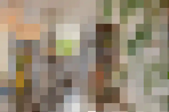 Dreeslaan 7 Naaldwijk thumbnail 8