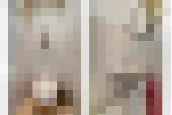 Dreeslaan 7 Vlijmen thumbnail 13