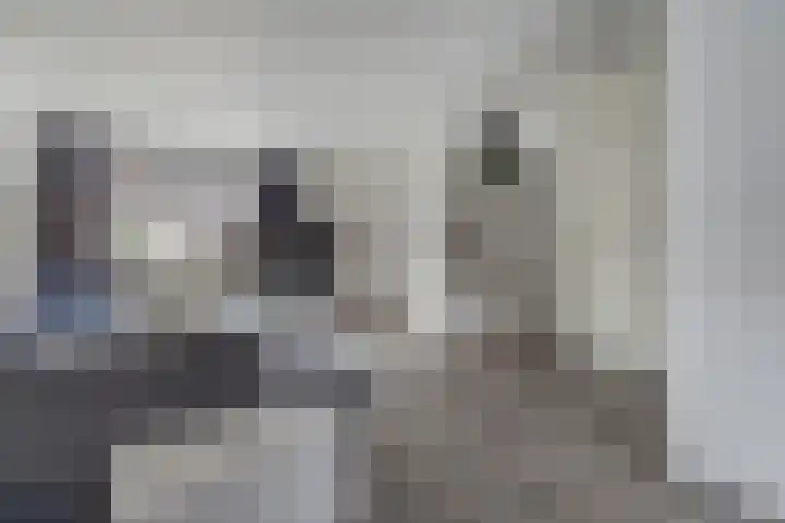 Dreeslaan 7 Vlijmen foto 2