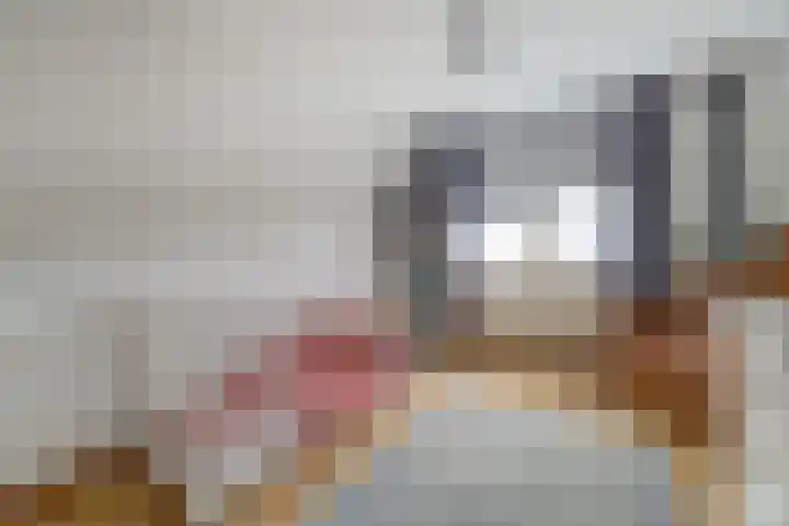 Dreeslaan 7 Vlijmen thumbnail 20