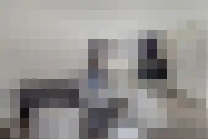 Dreeslaan 7 Vlijmen foto 3