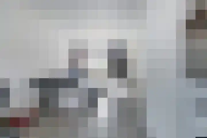 Dreeslaan 7 Vlijmen thumbnail 6