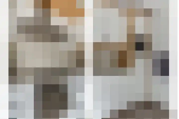 Dreeslaan 7 Vlijmen thumbnail 9