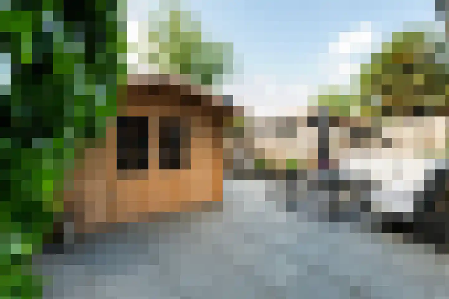 Dreesplein 8 IJsselstein thumbnail 6