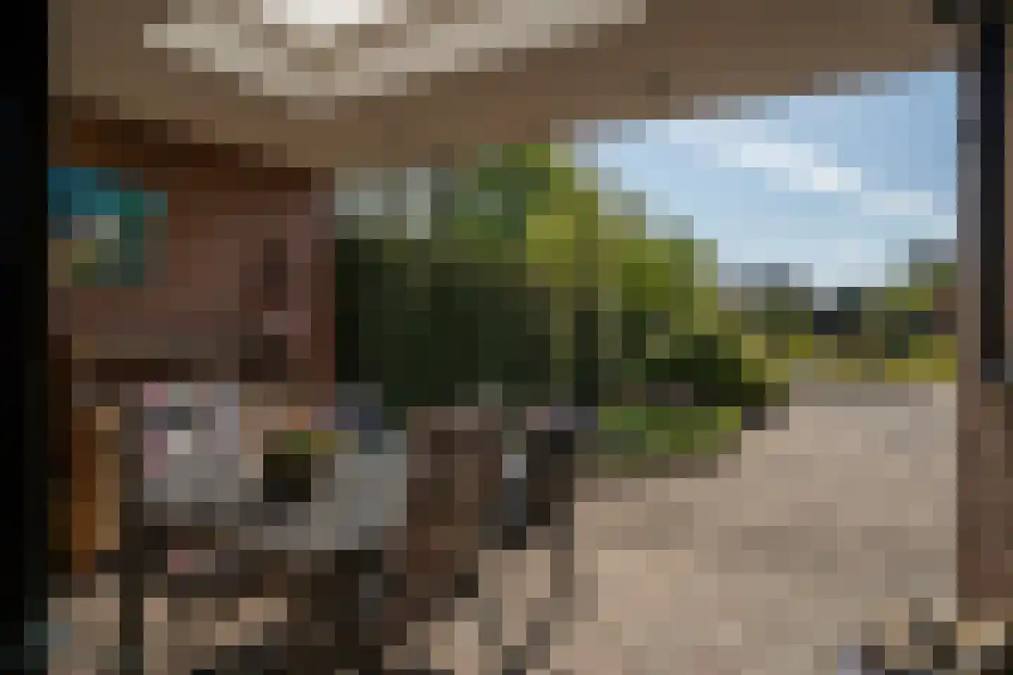 Dreessencampstraat 22 Beesel thumbnail 17