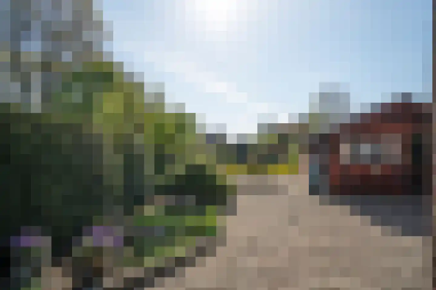 Dreessencampstraat 22 Beesel thumbnail 18