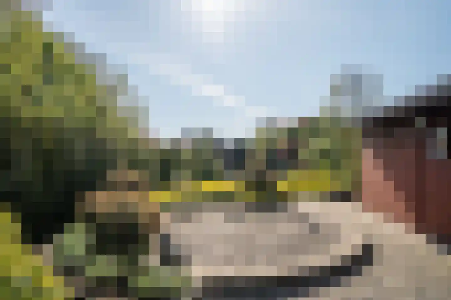Dreessencampstraat 22 Beesel thumbnail 26
