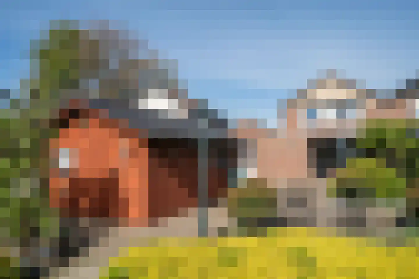 Dreessencampstraat 22 Beesel thumbnail 28