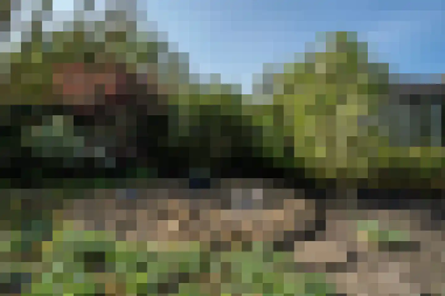 Dreessencampstraat 22 Beesel thumbnail 30
