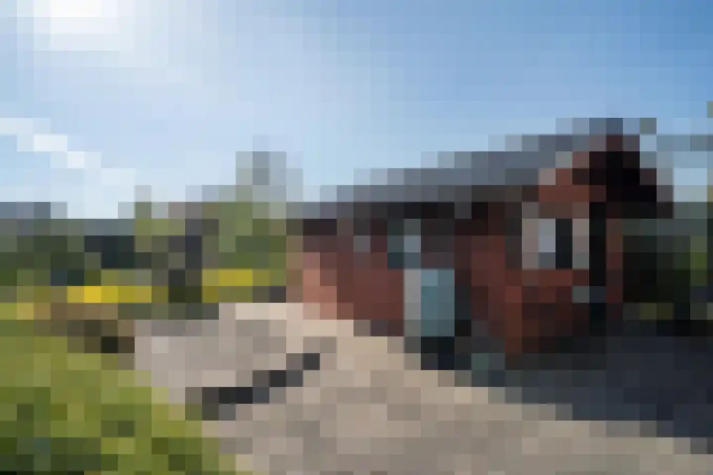Dreessencampstraat 22 Beesel thumbnail 37