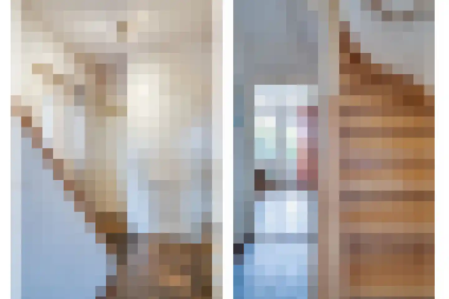Dreessencampstraat 22 Beesel thumbnail 38
