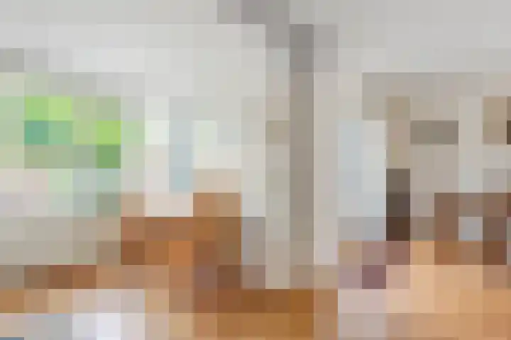 Dreessingel 21 Zwolle thumbnail 12
