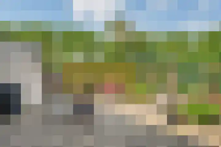 Dreessingel 21 Zwolle thumbnail 31
