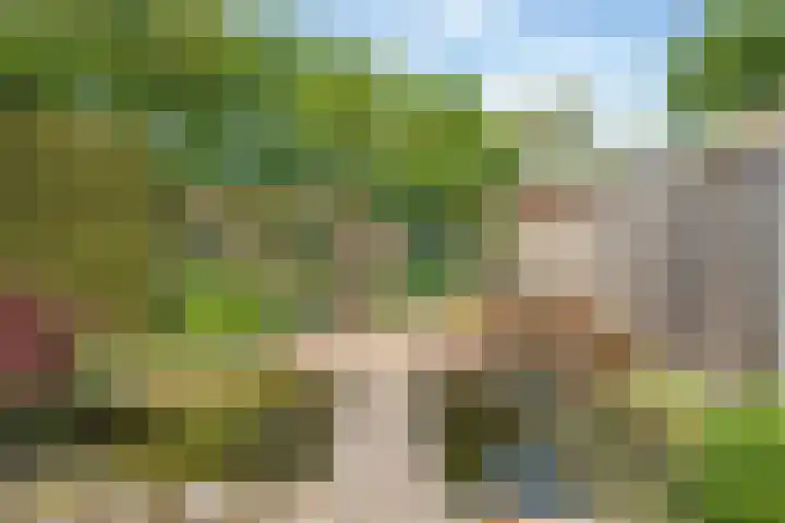 Dreessingel 21 Zwolle thumbnail 32
