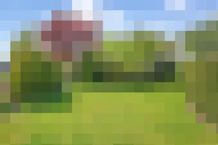 Dreessingel 21 Zwolle thumbnail 33