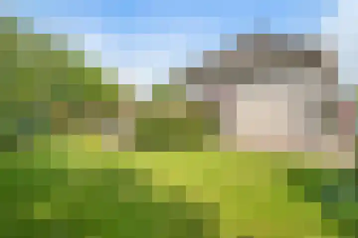 Dreessingel 21 Zwolle thumbnail 41