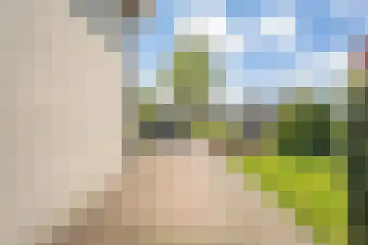 Dreessingel 21 Zwolle thumbnail 42