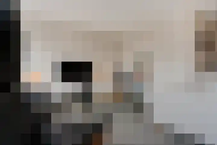 Dreessingel 30 Zwolle thumbnail 14